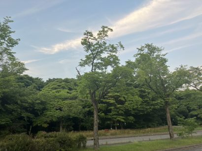 【天気予報】6月8日は、前線が夜にかけて西日本を北上し、湿った空気の影響を受ける見込み