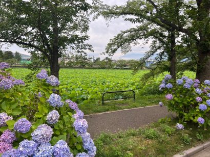 【天気予報】7月9日は前線が北陸地方に停滞し、暖かく湿った空気の影響を受ける見込み