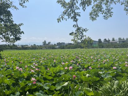 【天気予報】7月３０日は引き続き高気圧に覆われるが、湿った空気の影響を受ける見込み