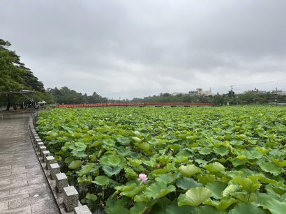 【天気予報】7月20日は前線が東日本を南下し、次第に高気圧に覆われる見込み