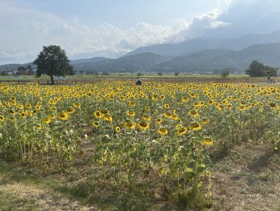 【天気予報】8月22日は熱中症の危険性が極めて高い気象状況になることが予測される