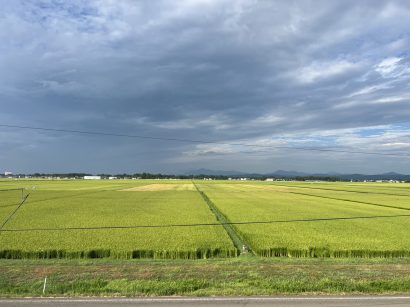 【天気予報】8月17日は高気圧に緩やかに覆われるが、湿った空気の影響を受ける見込み