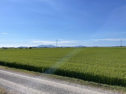 【天気予報】8月4日は引き続き高気圧に覆われるが、湿った空気の影響を受ける見込み