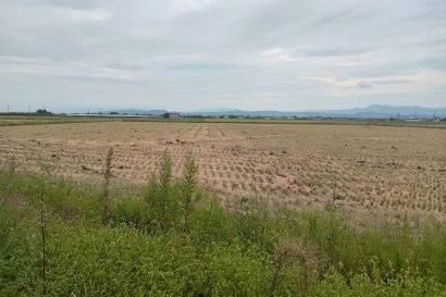 【天気予報】9月27日の新潟県内は引き続き低気圧や湿った空気の影響を受ける見込み