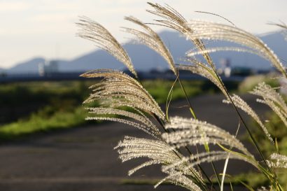 【天気予報】9月30日の新潟県内はくもり、上中下越で夜から雨