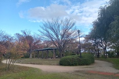 【天気予報】11月15日の新潟県内は上空の寒気や日本海を東に進む低気圧の影響を受ける見込み