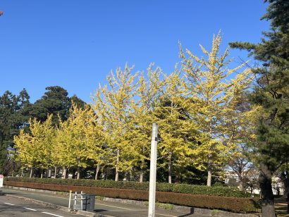 【天気予報】11月4日はオホーツク海の低気圧からのびる寒冷前線が日本海を南下し北陸地方に接近する見込み