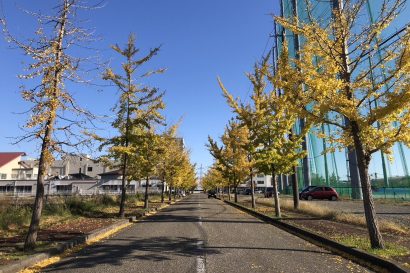 【天気予報】11月10日の新潟県内は前線が新潟県を通過し、夜は寒気の影響を受ける見込み