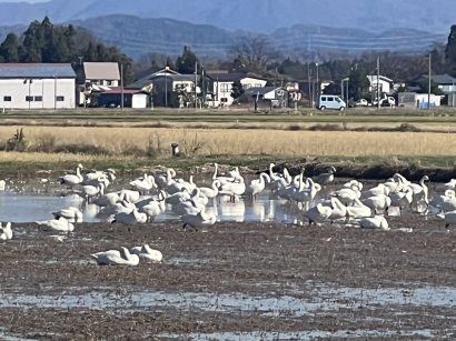 【天気予報】11月23日は低気圧がサハリン付近へ進み、前線が日本海を南下する見込み