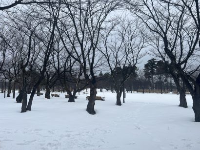 【天気予報】1月19日は寒気や湿った空気の影響を受ける見込み