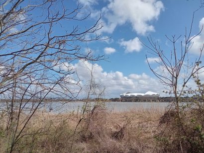 【天気予報】3月29日の新潟県内は昼ごろまで雨、黄砂飛来の予報も