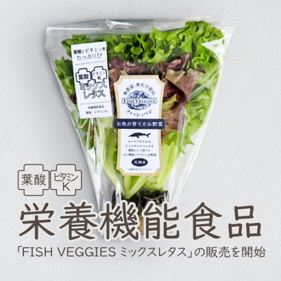 【アクアポニックスとしては日本初】プラントフォーム（新潟県長岡市）が栄養機能食品「FISH VEGGIES ミックスレタス」を4月15日から発売開始