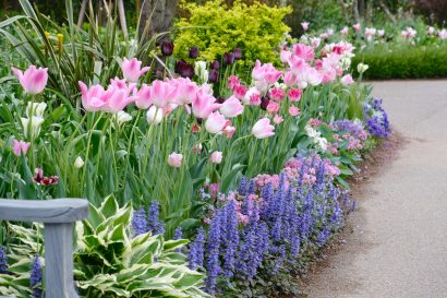 【写真コラム】咲き誇るパステルカラーの花々、みつけイングリッシュガーデン（新潟県見附市）