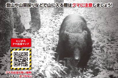 【早朝に出没】新潟県長岡市でクマの目撃情報