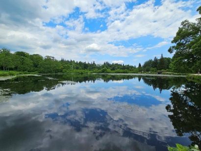 【写真コラム】「蒼天」×「新緑」×「水面」の大自然の美しさ～吉田自然塾体験レポ第2弾～（長野県信濃町、新潟県妙高市、新潟県上越市）〈下〉