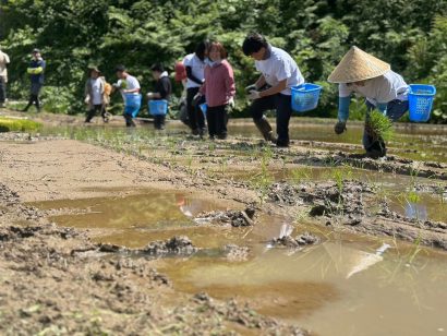 【特集】ベンチャー企業が田植えで社員研修？　「法人棚田研修サービス」で里山の保全と関係人口増を目指す星裕方さん（新潟県十日町市）