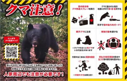 【出没・目撃件数が過去最多】新潟県が「クマ出没警戒注意報」の延長を発表、11月30日まで