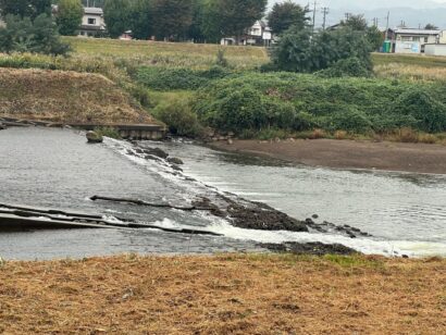 【一部白骨化】新潟県上越市で女性の身元不明死体が発見される