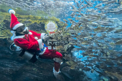 【水族館が聖夜の装い 】上越市立水族博物館・うみがたりがクリスマス仕様に！ロマンティック演出で爆アガり必至